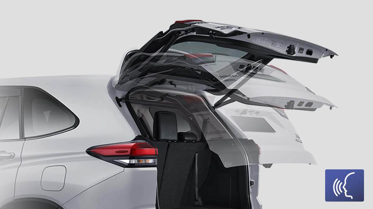 3KNDlC1v3XW224J8ZUieCuzmDKoIp1OtMCbdgteV